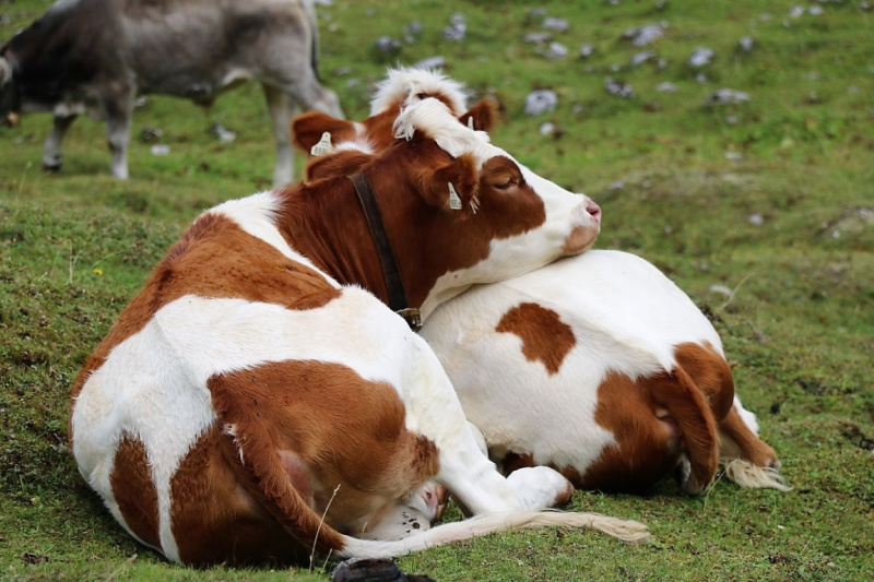freilichtbuehne_seebenalm_2017_005