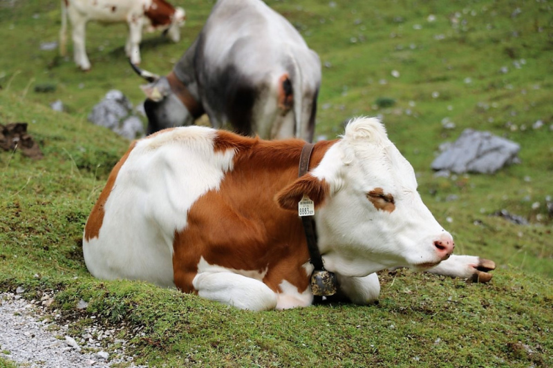 freilichtbuehne_seebenalm_2017_006