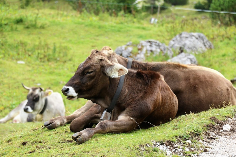 freilichtbuehne_seebenalm_2017_007