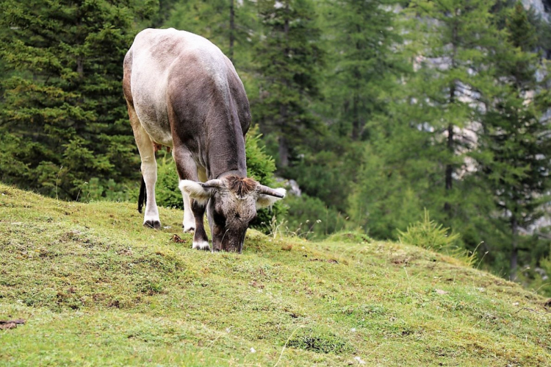 freilichtbuehne_seebenalm_2017_014