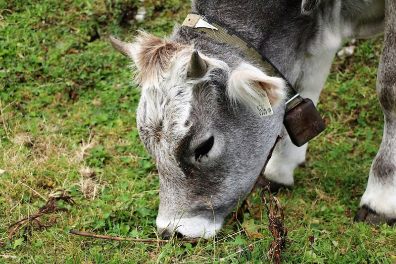 freilichtbuehne_seebenalm_2017_016