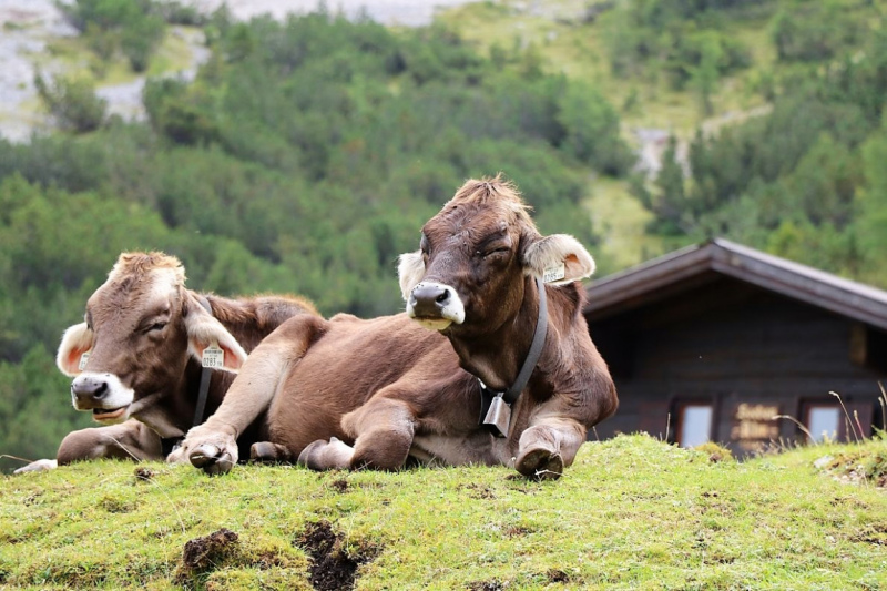 freilichtbuehne_seebenalm_2017_017