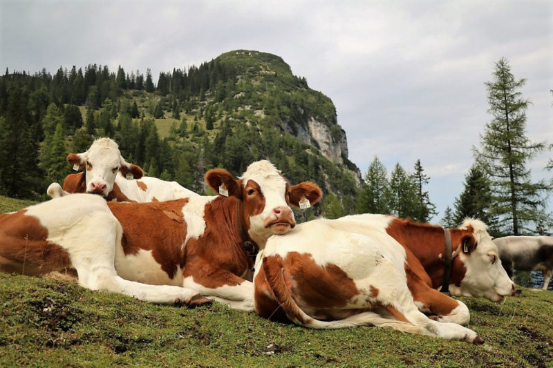 freilichtbuehne_seebenalm_2017_019
