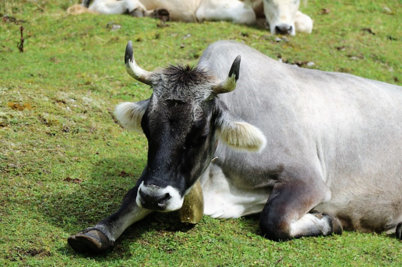 freilichtbuehne_seebenalm_2017_023