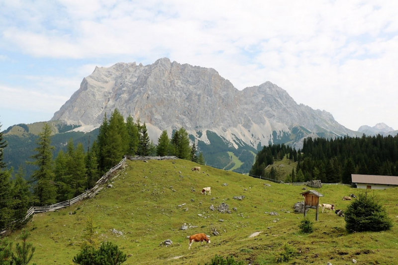 Freilichtbühne Seeben Alm – Almvieh und Wanderer auf Augenhöhe