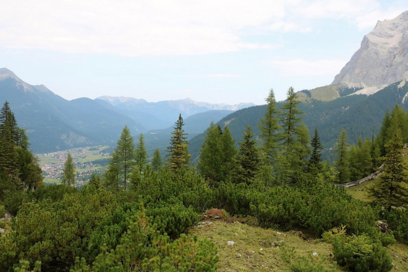 Freilichtbühne Seeben Alm – Almvieh und Wanderer auf Augenhöhe
