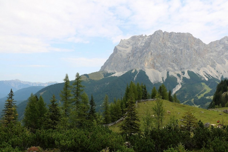 Freilichtbühne Seeben Alm – Almvieh und Wanderer auf Augenhöhe