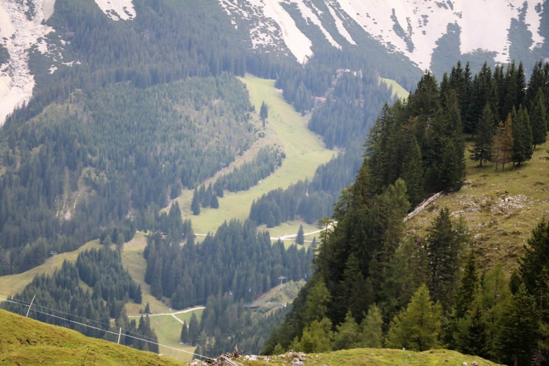 Freilichtbühne Seeben Alm – Almvieh und Wanderer auf Augenhöhe