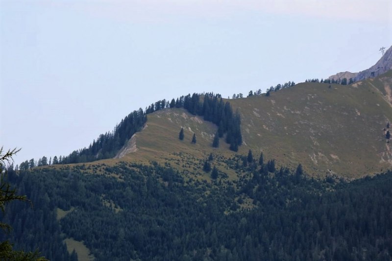 Freilichtbühne Seeben Alm – Almvieh und Wanderer auf Augenhöhe
