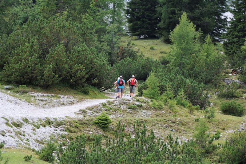 Freilichtbühne Seeben Alm – Almvieh und Wanderer auf Augenhöhe