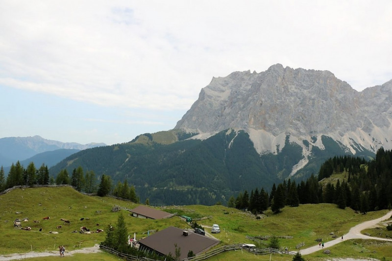 Freilichtbühne Seeben Alm – Almvieh und Wanderer auf Augenhöhe