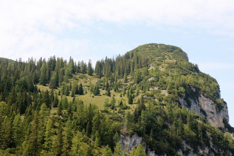 Freilichtbühne Seeben Alm – Almvieh und Wanderer auf Augenhöhe