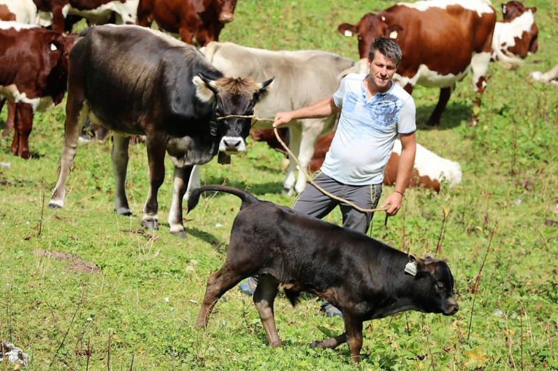 freilichtbuehne_seebenalm_2017_097