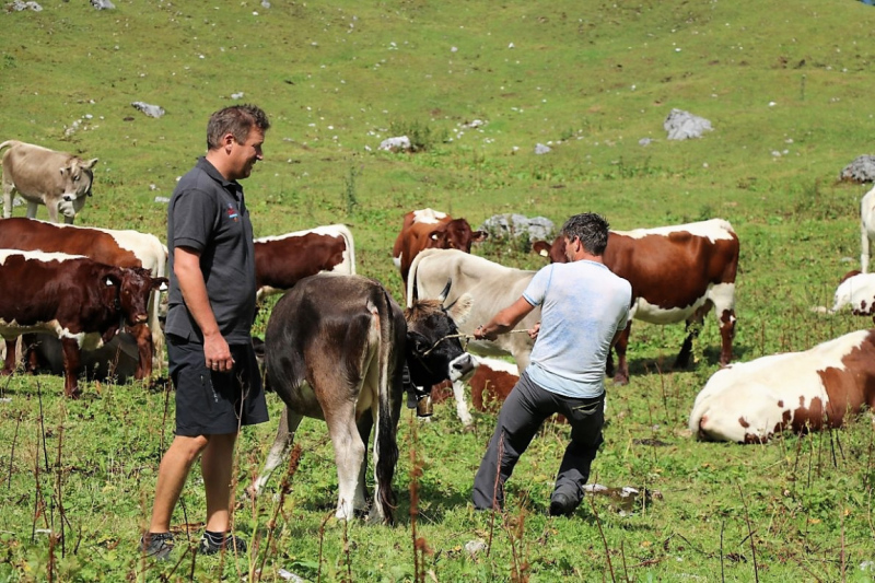 freilichtbuehne_seebenalm_2017_100