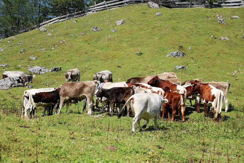 freilichtbuehne_seebenalm_2017_113