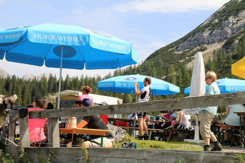 Freilichtbühne Seeben Alm – Almvieh und Wanderer auf Augenhöhe