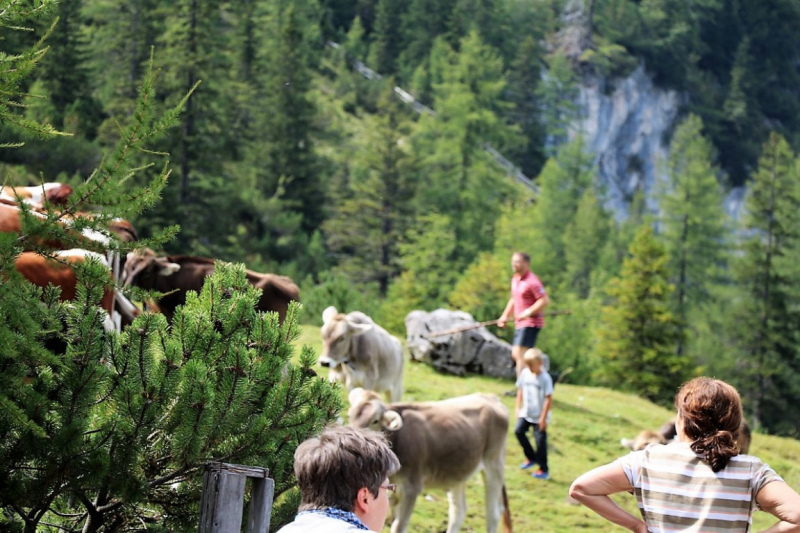 freilichtbuehne_seebenalm_2017_179