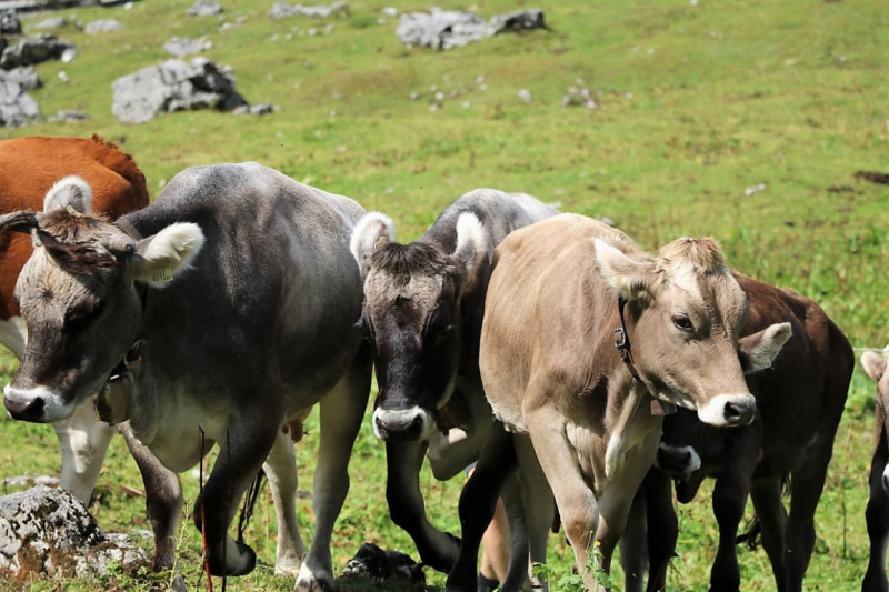 freilichtbuehne_seebenalm_2017_201