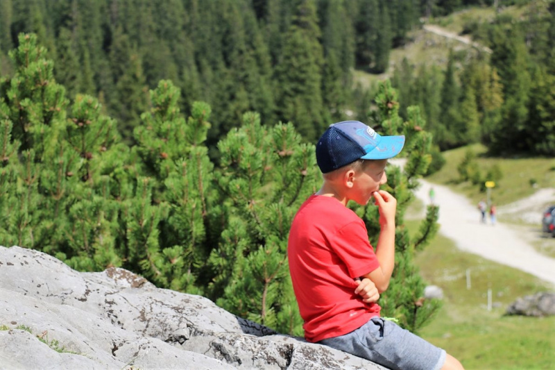 Freilichtbühne Seeben Alm – Almvieh und Wanderer auf Augenhöhe
