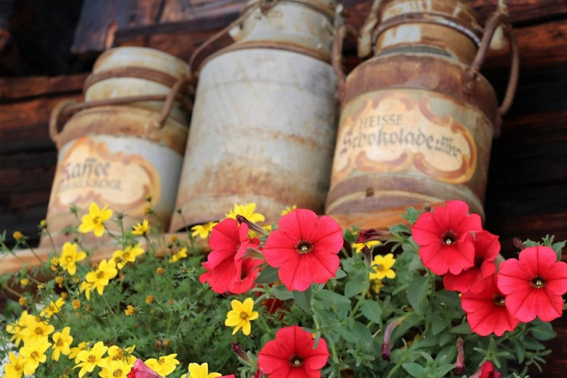 Gampe Thaya – Almgespräche im Herrgottswinkel