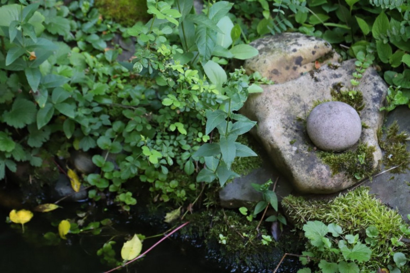 Gartenkunst blüht im Verborgenen – Ton trifft Holz