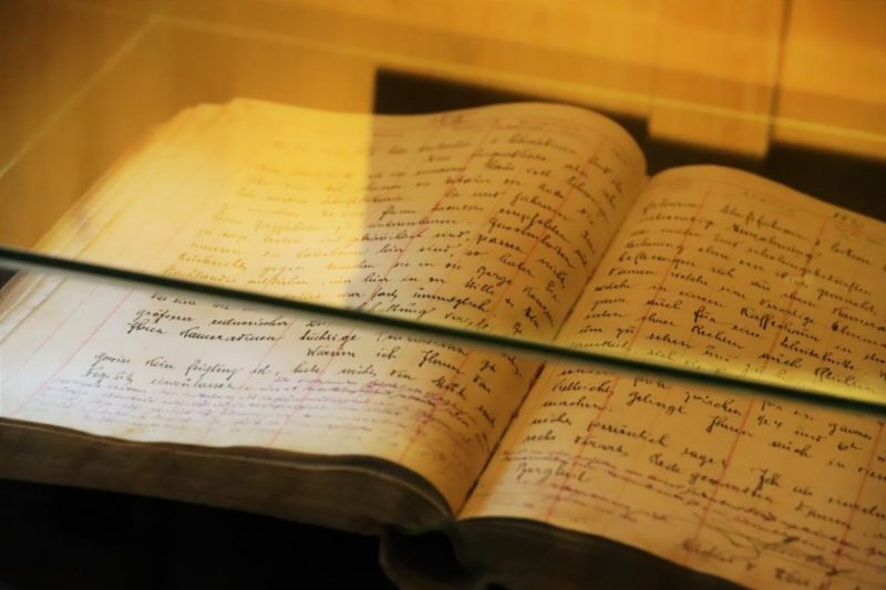 Gehen am Berg – Einblicke ins alpine Leben