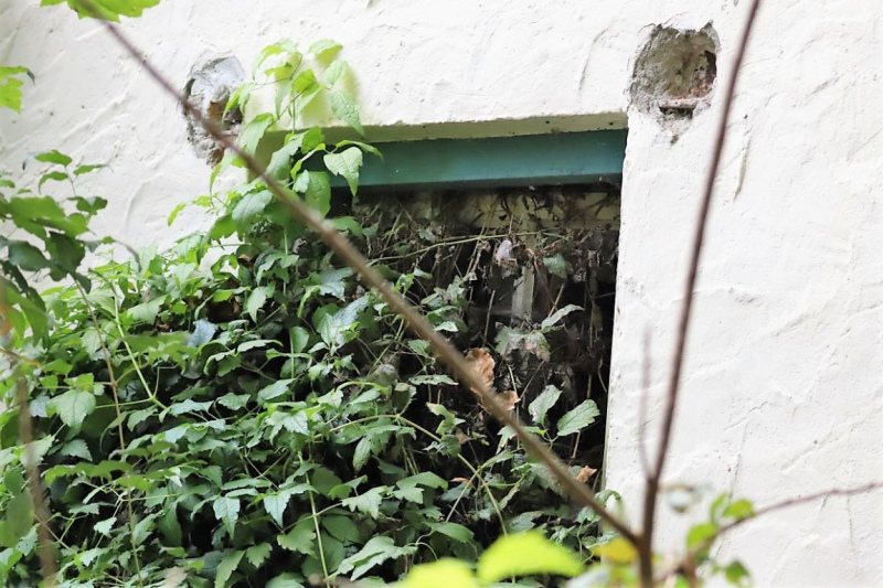 Das Hartsteinwerk Werdenfels war ein Steinbruch