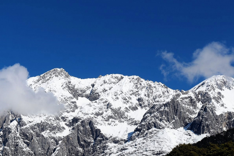 Hat die Kuh Charakter? – „Ja – und sie vergisst nie“