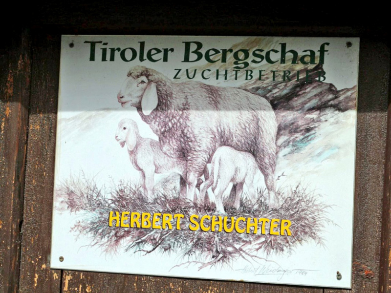 Haus der Hirtenfamilie Schuchter in Nassereith