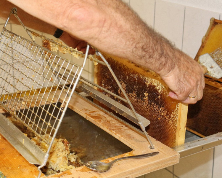 Im Tal der Königinnen – Honig aus dem Almenland