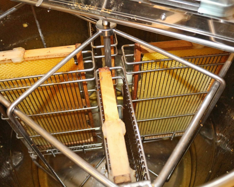 Im Tal der Königinnen – Honig aus dem Almenland