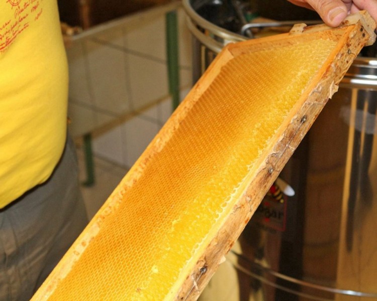 Im Tal der Königinnen – Honig aus dem Almenland