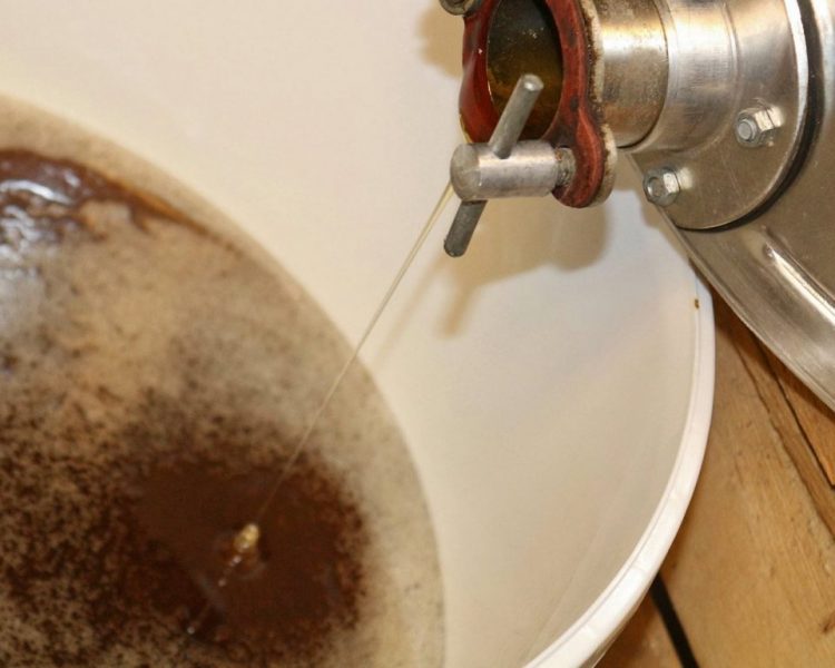 Im Tal der Königinnen – Honig aus dem Almenland