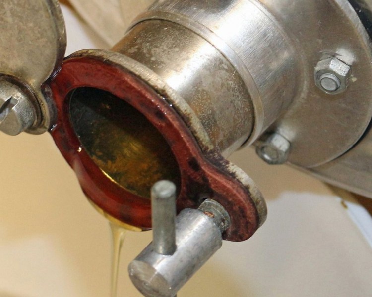 Im Tal der Königinnen – Honig aus dem Almenland