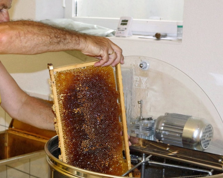 Im Tal der Königinnen – Honig aus dem Almenland