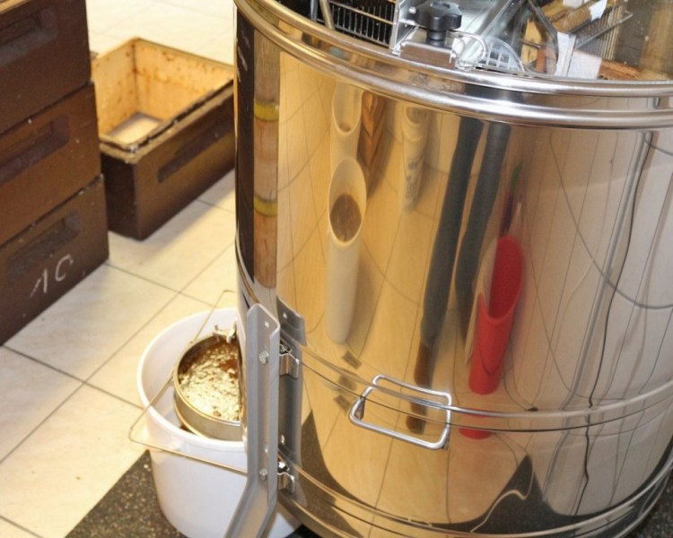 Im Tal der Königinnen – Honig aus dem Almenland