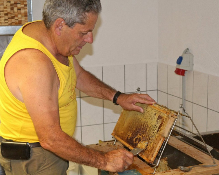 Im Tal der Königinnen – Honig aus dem Almenland