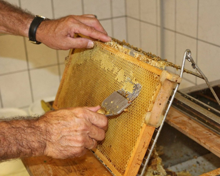 Im Tal der Königinnen – Honig aus dem Almenland