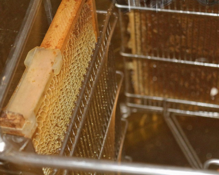 Im Tal der Königinnen – Honig aus dem Almenland