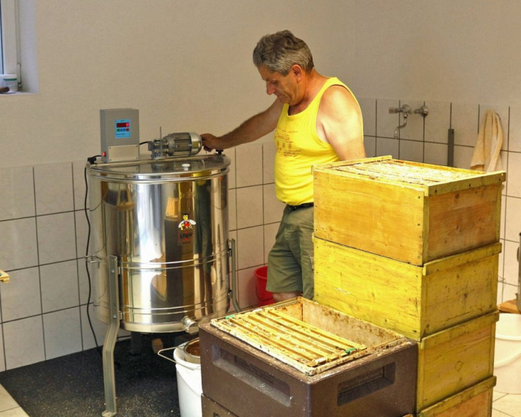 Im Tal der Königinnen – Honig aus dem Almenland