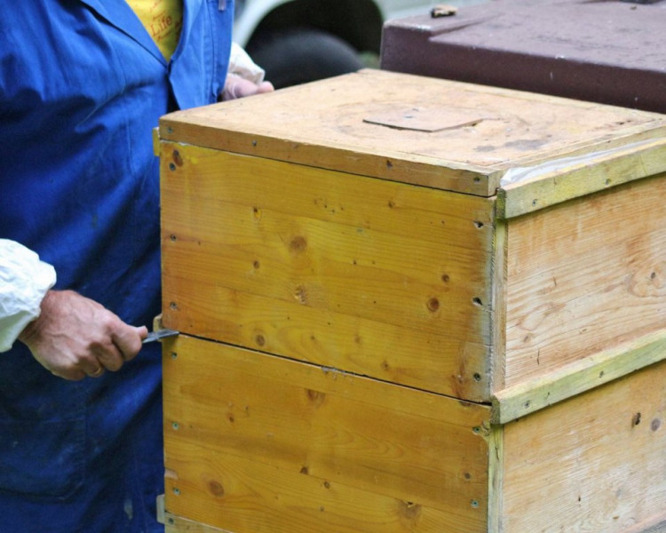 Im Tal der Königinnen – Honig aus dem Almenland