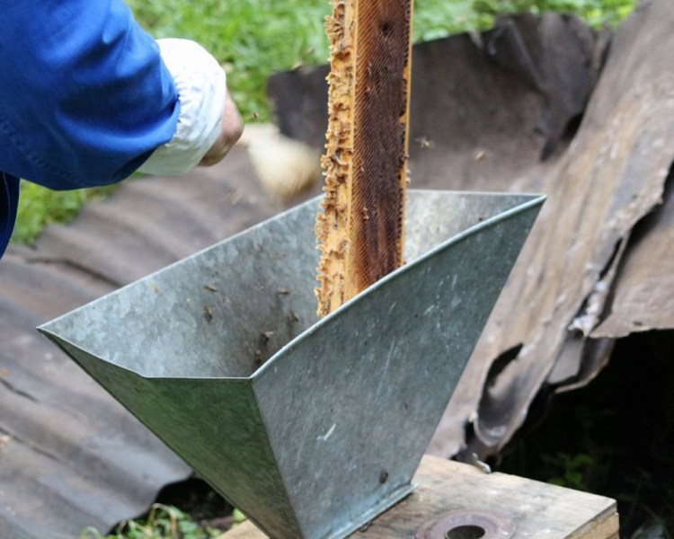 Im Tal der Königinnen – Honig aus dem Almenland