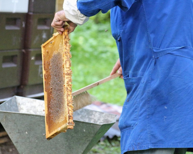 Im Tal der Königinnen – Honig aus dem Almenland
