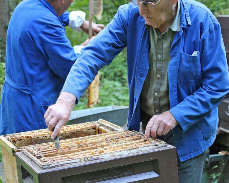 Im Tal der Königinnen – Honig aus dem Almenland