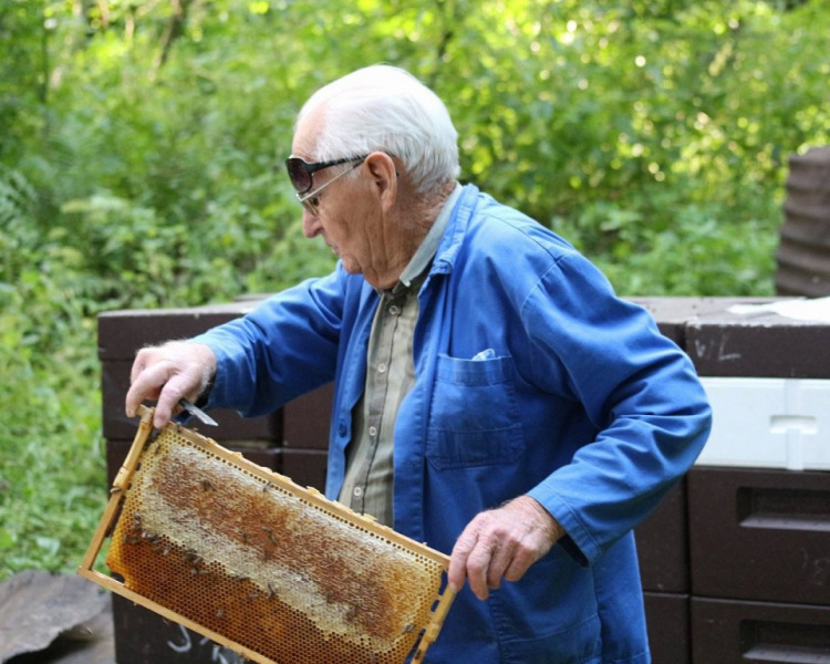 Im Tal der Königinnen – Honig aus dem Almenland