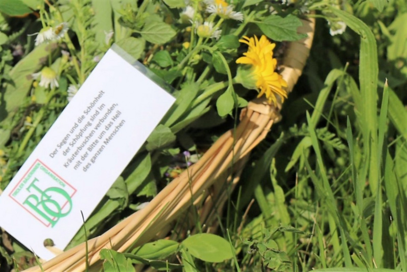 Landfrauen binden Kräuterbuschen zum Fest Maria Himmelfahrt