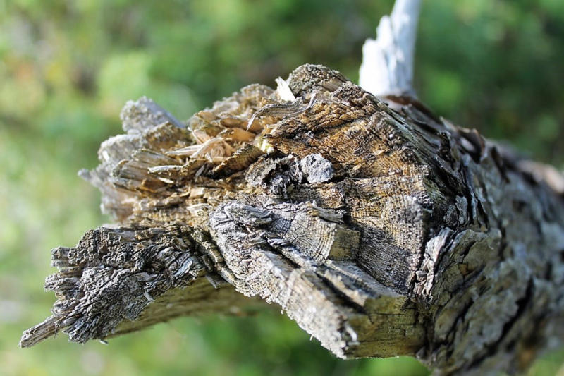 Flüssiges Gold – Spurensuche im Quellgebiet am Stöttltörl