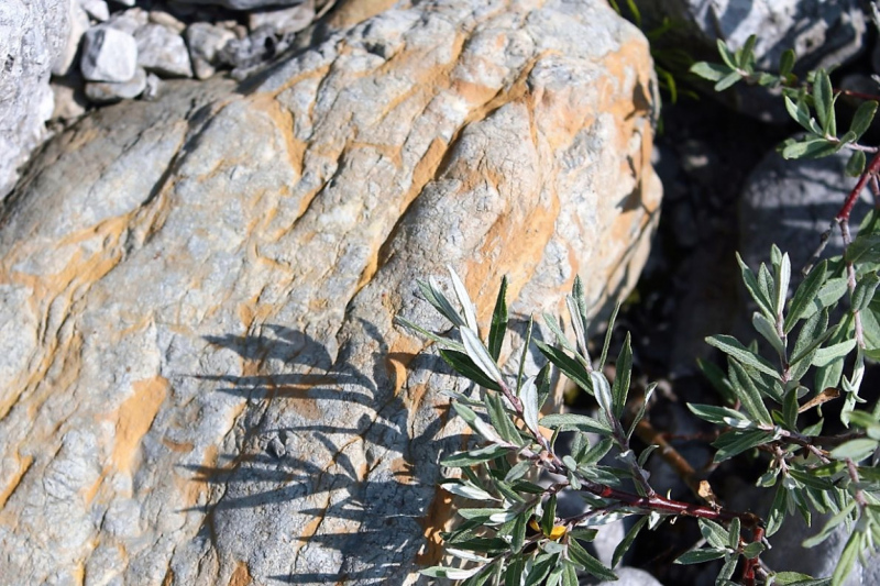 Flüssiges Gold – Spurensuche im Quellgebiet am Stöttltörl