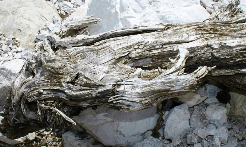 Flüssiges Gold – Spurensuche im Quellgebiet am Stöttltörl