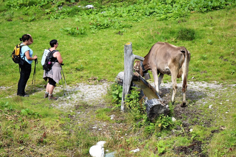 Marienbergfest auf der „4-Hauben-Alm“